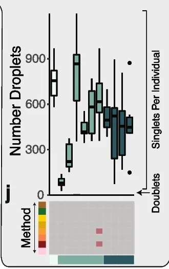 Open access visualization of Box Plot, Heatmap, Droplets, Singlets, Doublets