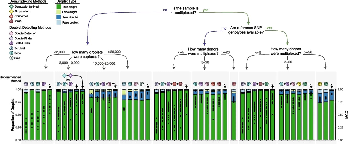 Open access visualization of Workflow, Bar Plot, Scatter Plot, Experimental Design, Multiplexed Experiments