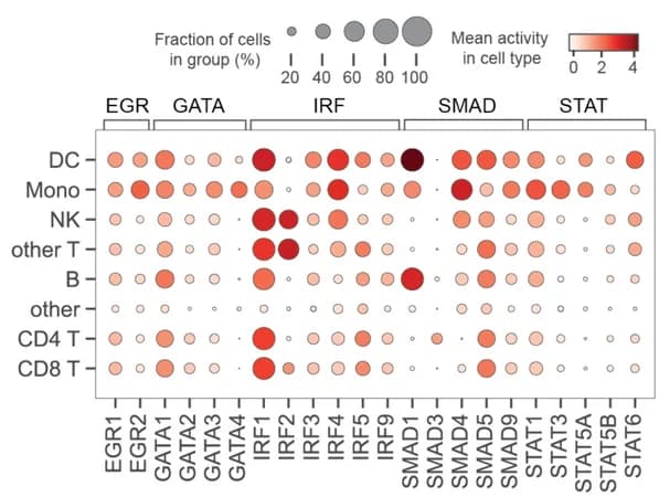 Open access visualization of Bubble Plot, Heatmap, Heat-map, Dot-plot, TFA