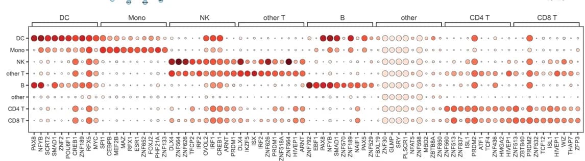 Open access visualization of Bubble Plot, Heat-map, Dot-plot, TFs, PBMC