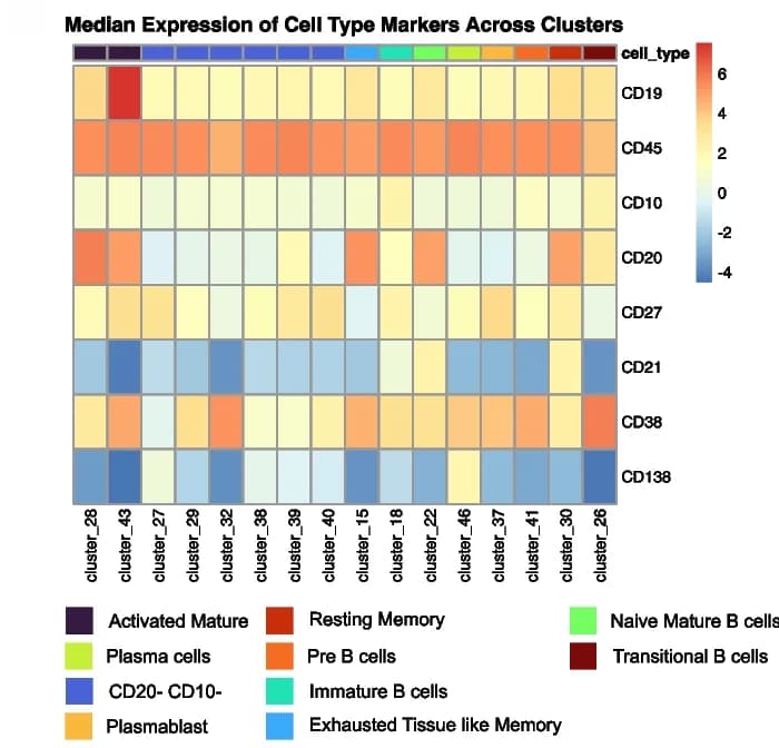 Open access visualization of Heatmap, B Cell Subsets, Supercell Clustering, Cell Type Markers, Oetjen_bcell Dataset