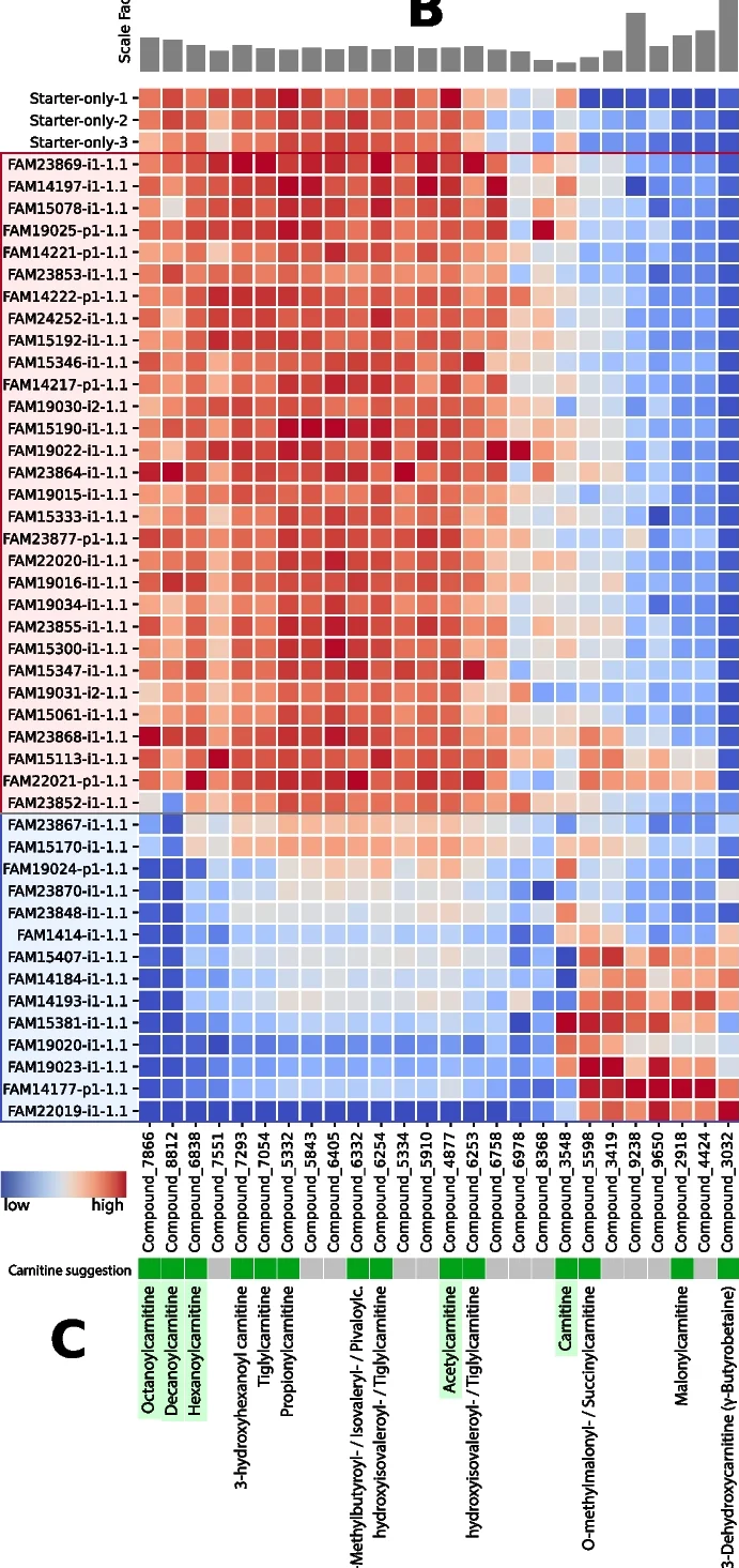 Open access visualization of Heatmap, Bar Plot, Heat Map, Metabolite Abundance