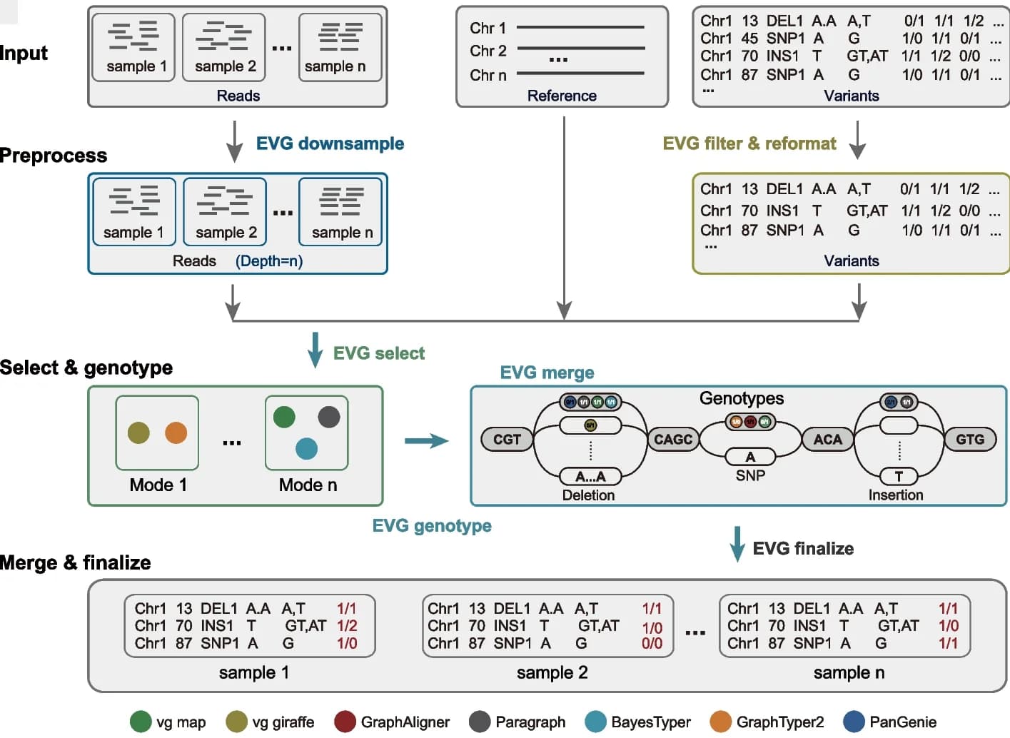 Open access visualization of Workflow, Flowchart, Variant Genotyping Workflow, Sequencing Reads, Graph-based Genotypers