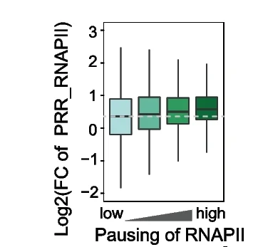 Open access visualization of Box Plot, Boxplot, Fold Change, PRR, POLR2G