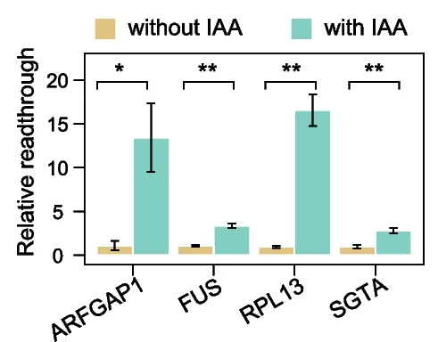Open access visualization of Bar Plot, Error Bars, Clustered, TT-qPCR, Transcriptional Readthrough