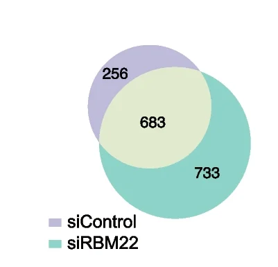 Open access visualization of Venn Diagram, DoGs