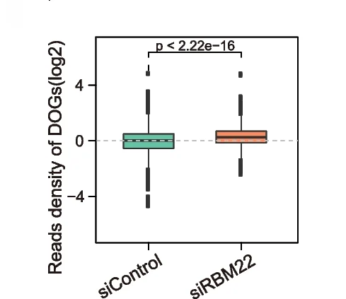 Open access visualization of Box Plot, Boxplot, GRO-seq, DoGs