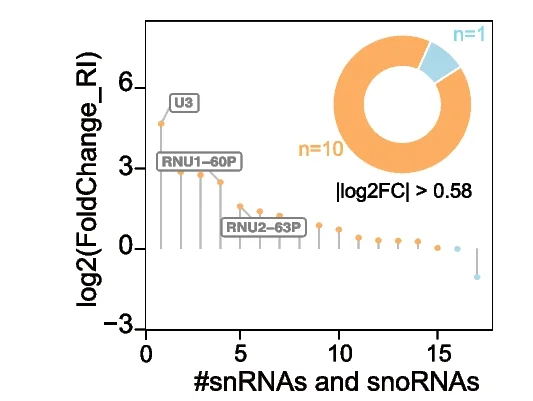 Open access visualization of Line Plot, Donut Chart, Histogram, Fold Change, RI Value