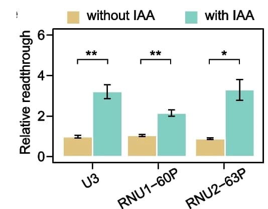 Open access visualization of Bar Plot, Error Bars, Clustered, TT-qPCR, Transcriptional Readthrough
