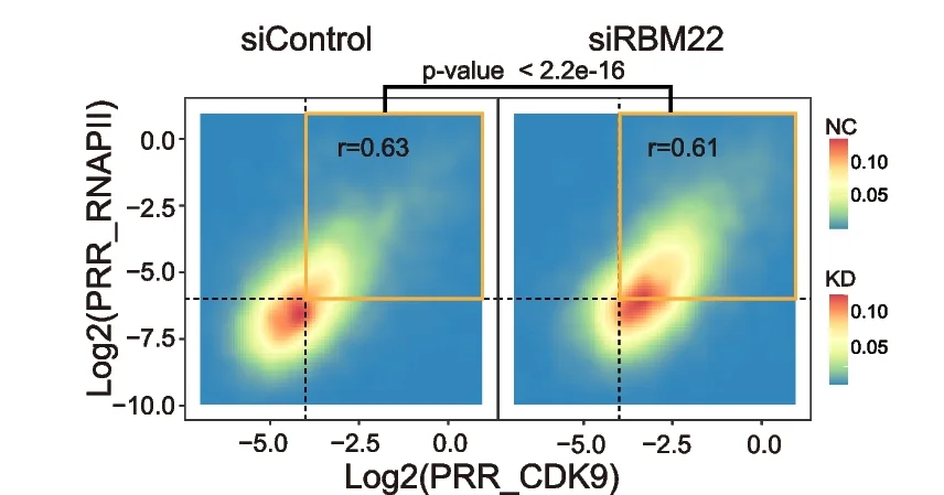 Open access visualization of Density Plot, Scatter Plot, 2D Density Plot, CDK9 PRR, RNAPII PRR