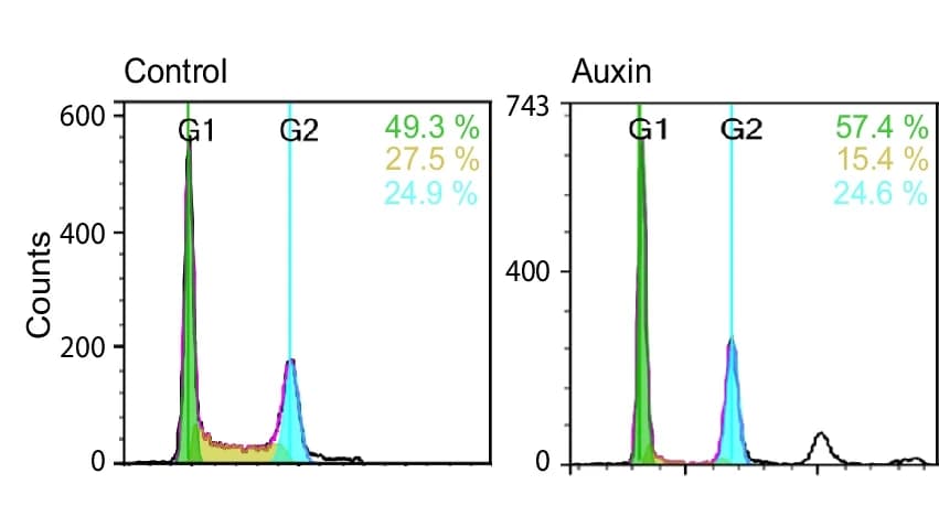 Open access visualization of Line Plot, Density Plot, Flow Cytometry Profiles, HCT116 Cell Line, Ki-67-AID Cell Line
