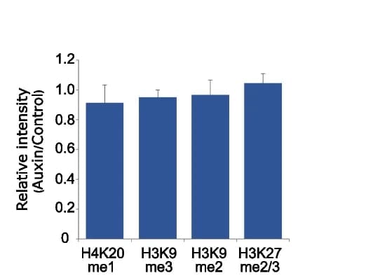 Open access visualization of Bar Plot, Error Bars, Quantification, Blot, Student's t-test