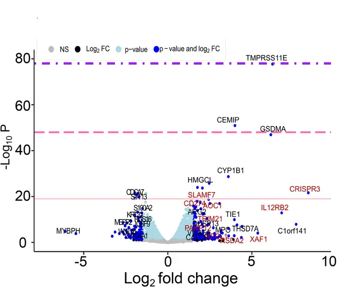 Open access visualization of Volcano Plot, Differentially Expressed Genes, RNA-seq, HCT116:Ki-67-AID Cell Line, Thymidine