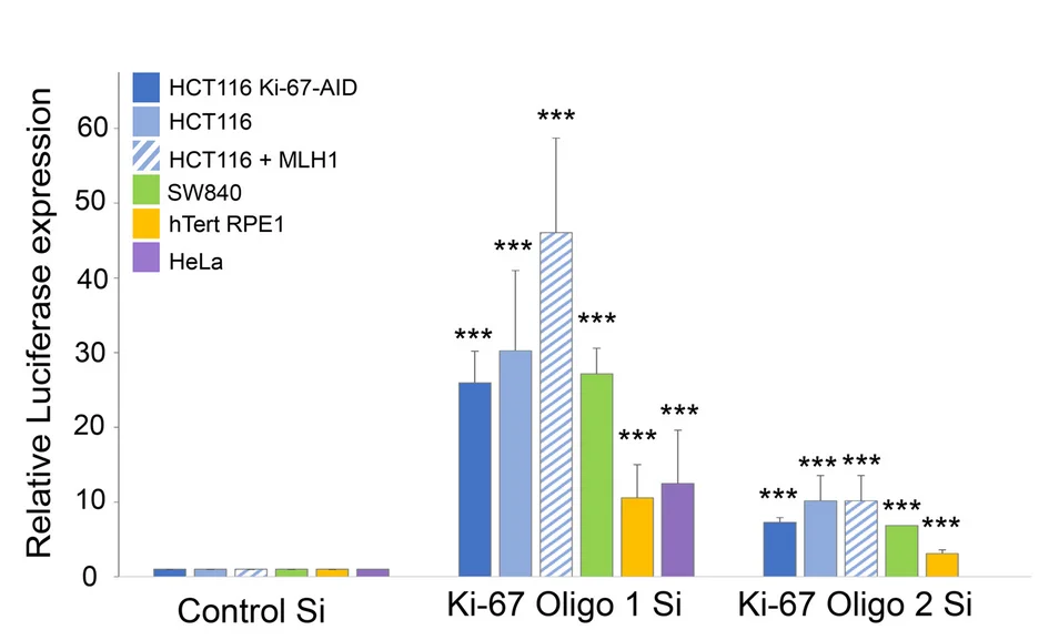 Open access visualization of Bar Plot, Error Bars, Luciferase Assay, Transfection, Cell Lines
