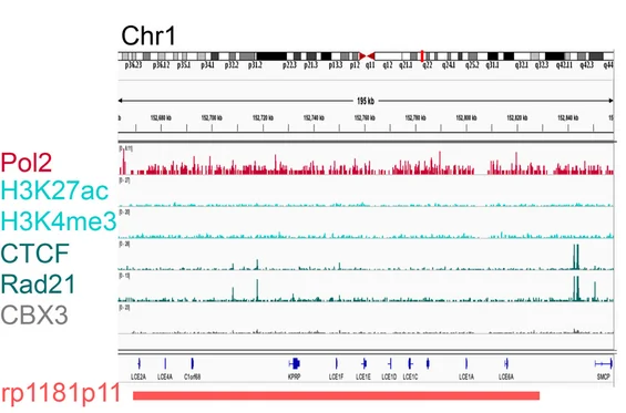 Open access visualization of Line Plot, Density Plot, FISH analyses, Chromosome, ChIP seq profiles
