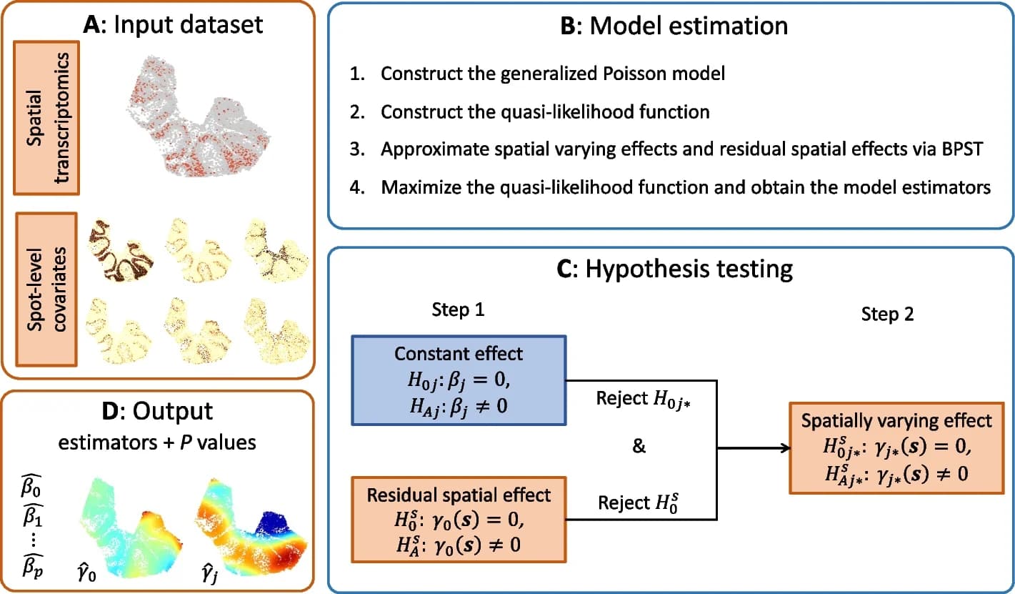Open access visualization of Workflow, Illustration, Spatial Transcriptomics Data, Read Count Matrix, Spatial Location Matrix