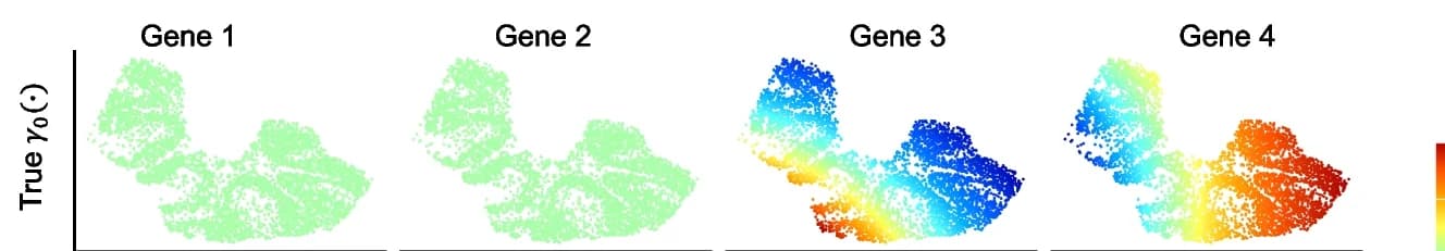 Open access visualization of Scatter Plot, UMAP, Spatial Effects, Gene Expression, Visualization