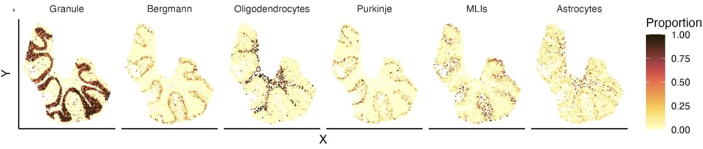 Open access visualization of Scatter Plot, Heatmap, Cell Type Proportions, Granule Cells, Bergmann Cells
