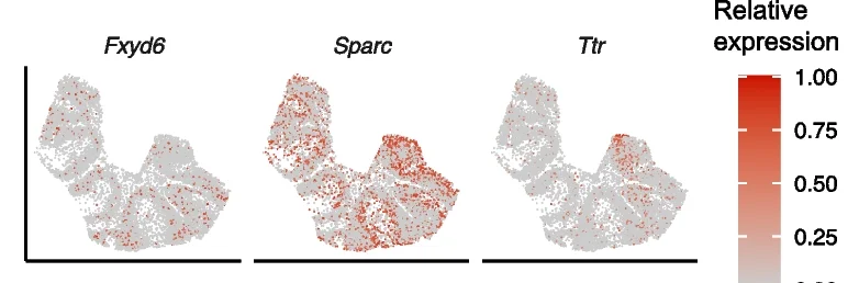 Open access visualization of Scatter Plot, UMAP, Gene Expression, Spatial Transcriptomics, Normalization