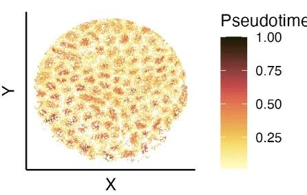 Open access visualization of Scatter Plot, Spatial Spots, Pseudotime