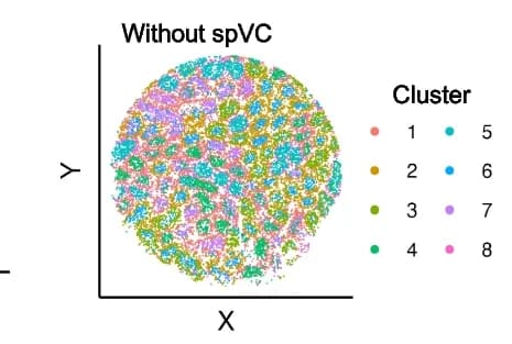 Open access visualization of Scatter Plot, UMAP, PCA, Spot Clusters, Gene Expression Levels