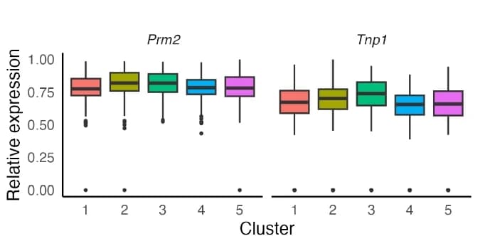 Open access visualization of Box Plot, Expression Levels, Prm2, Tnp1, Spot Clusters