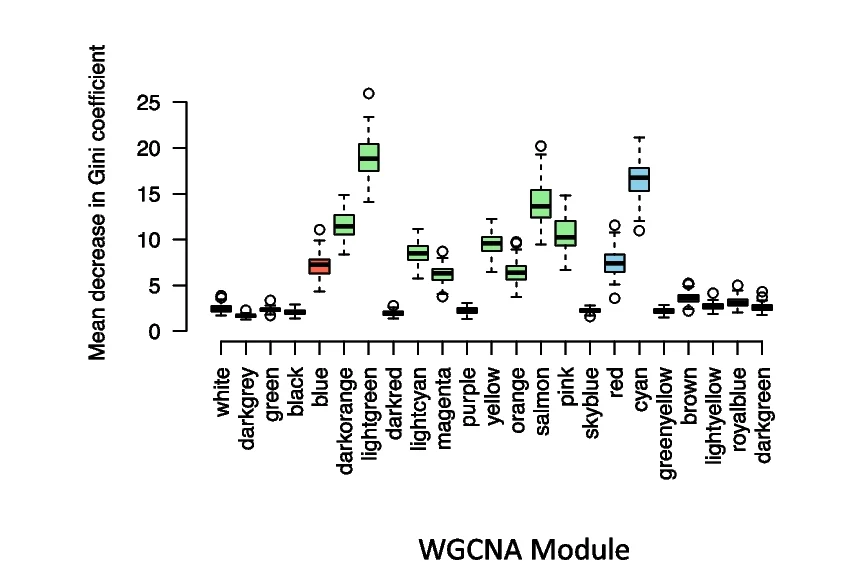 Open access visualization of Box Plot, Co-expression Modules, TCGA Glioblastoma Cohort, Glioblastoma, Random Forest Model