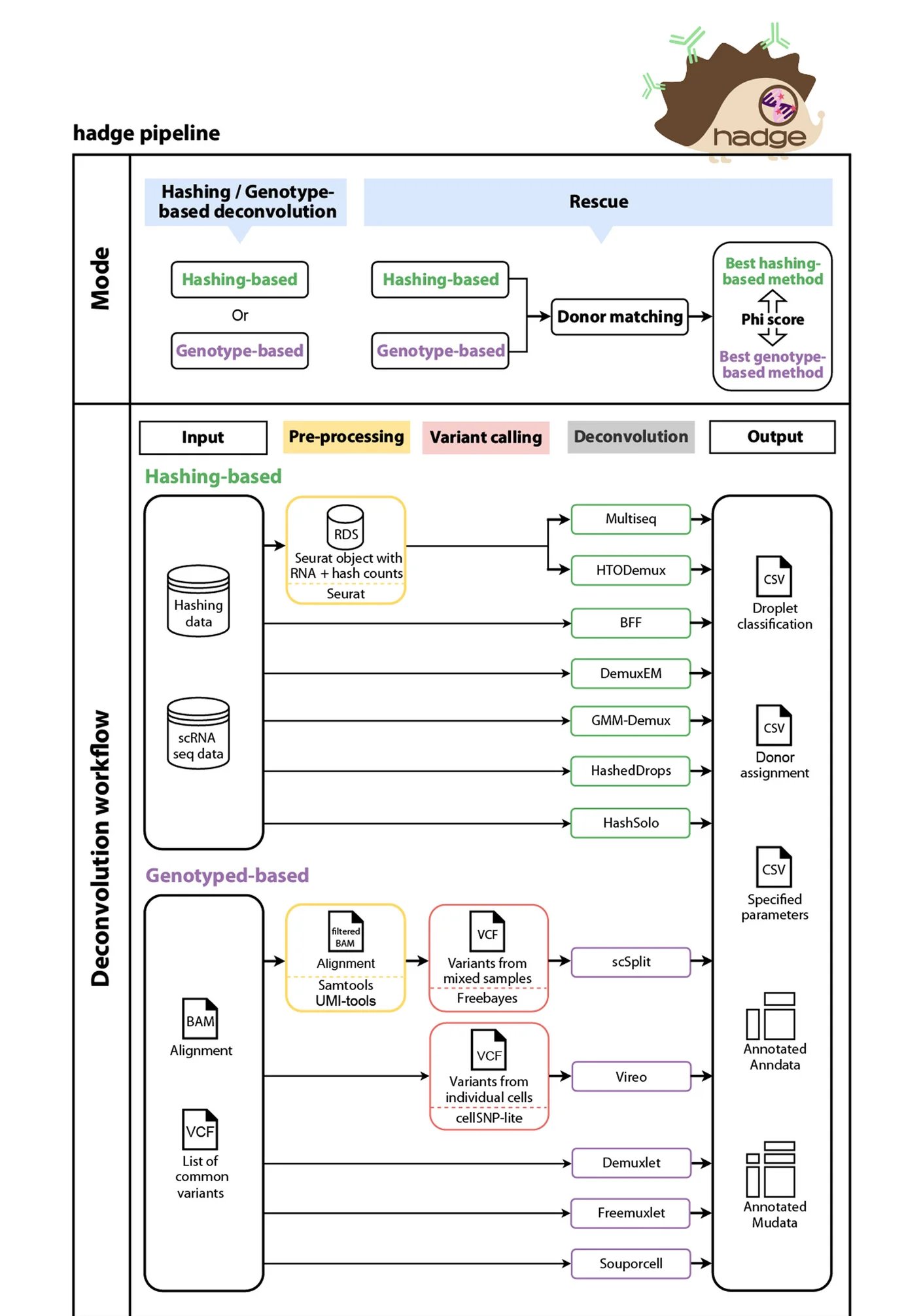 Open access visualization of Workflow, Flowchart, Hedge, Hashing-Based Deconvolution, Genotype-Based Deconvolution