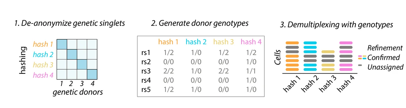 Open access visualization of Workflow, Table Image, Bar Plot, Stacked Bar Plot, Illustration