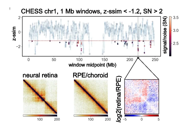 Open access visualization of Scatter Plot, Heatmap, CHESS, Neural Retina, RPE/Choroid