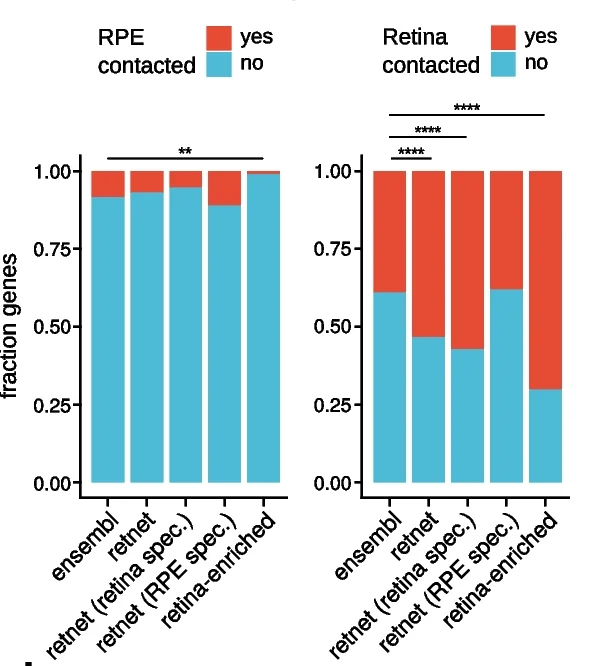 Open access visualization of Stacked Bar Plot, RetNet IRD Genes, Retina-Specific RetNet Genes, RPE/Choroid-Specific RetNet Genes, Retina-Enriched Genes