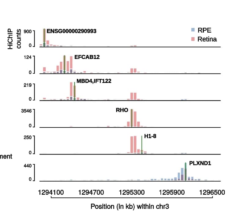 Open access visualization of Bar Plot, Virtual 4C Contact Frequencies, RHO Locus, Neural Retina, RPE/Choroid