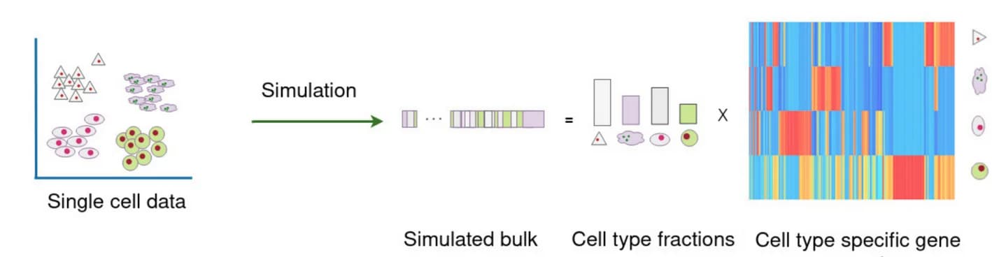 Open access visualization of Scatter Plot, Bar Plot, Heatmap, Workflow, Simulation