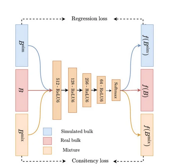 Open access visualization of Workflow, Flowchart, Illustration, MLP, Cell Type Fractions