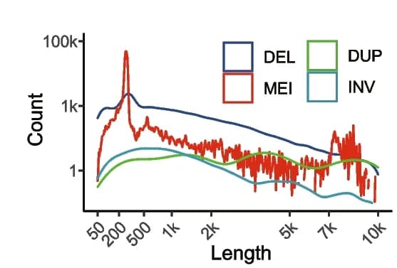 Open access visualization of Line Plot, SV Length Distribution, SV Frequency