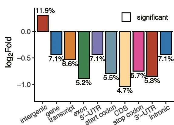Open access visualization of Bar Plot, Gene Enrichment, Protein-Coding Genes, SV, Genome