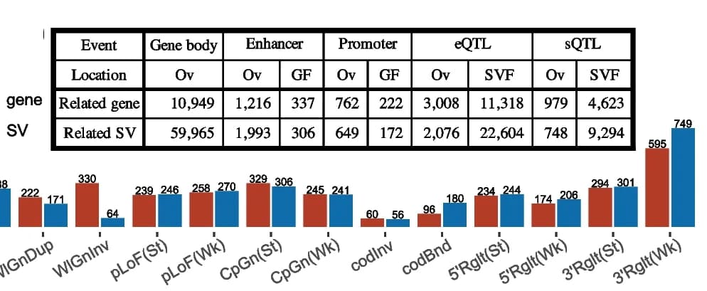 Open access visualization of Bar Plot, Table Image, Structural Variant, Gene, Enhancer
