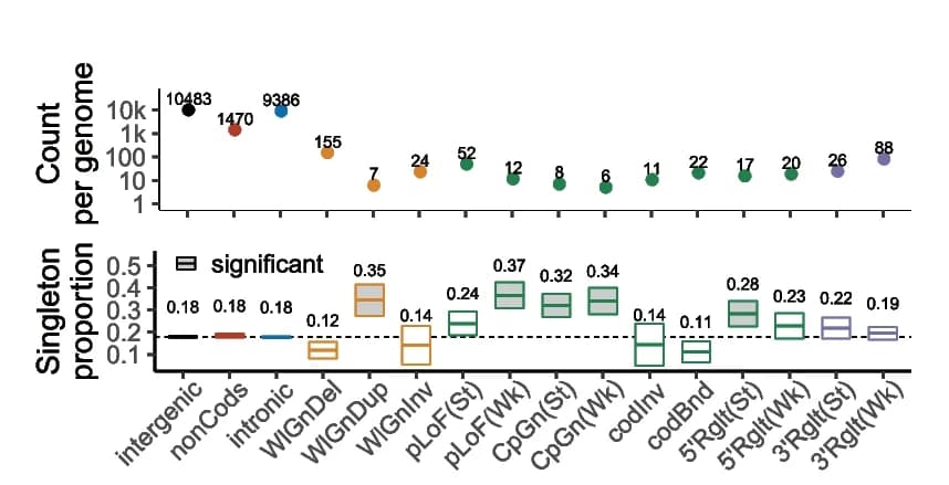 Open access visualization of Scatter Plot, Box Plot, Line Plot, Structural Variant, Genome