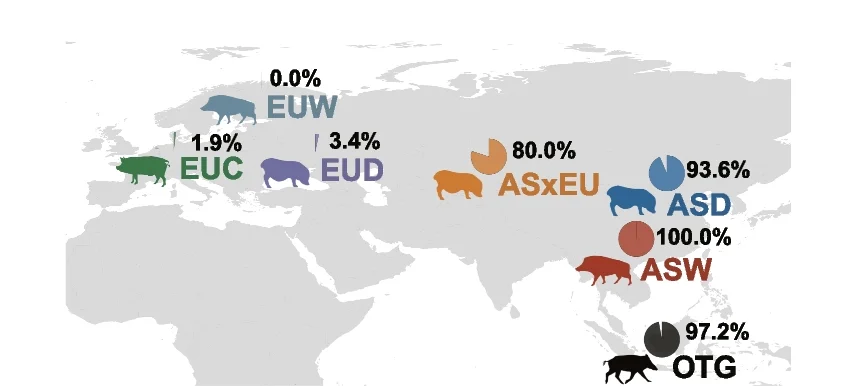 Open access visualization of Geo Map, Pie Chart, Allele Frequency, 303 bp DEL, Population