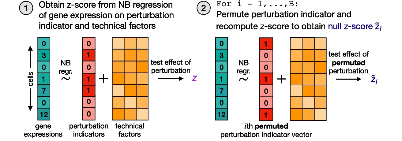 Open access visualization of Workflow, Flowchart, Illustration, SCEPTRE Algorithm, Gene Expressions