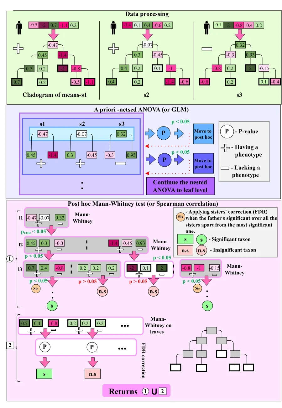 Open access visualization of Workflow, Flowchart, miMic, Data Processing, MIPMLP Method