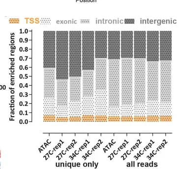 Open access visualization of Stacked Bar Plot, ATAC-seq, Genomic Features, Regions of Enrichment