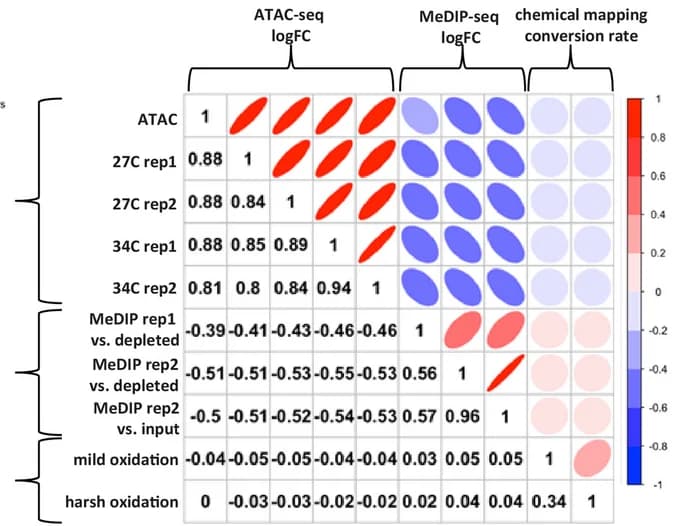 Open access visualization of Heatmap, ATAC-seq, MeDIP-seq, Anti-correlation