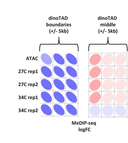 Open access visualization of Heatmap, ATAC-seq, MeDIP-seq, Anti-correlation