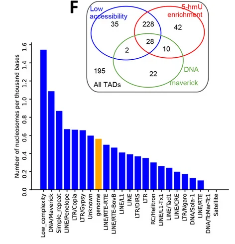 Open access visualization of Bar Plot, Venn Diagram, Positioned Nucleosomes, Repetitive Elements, Enrichment