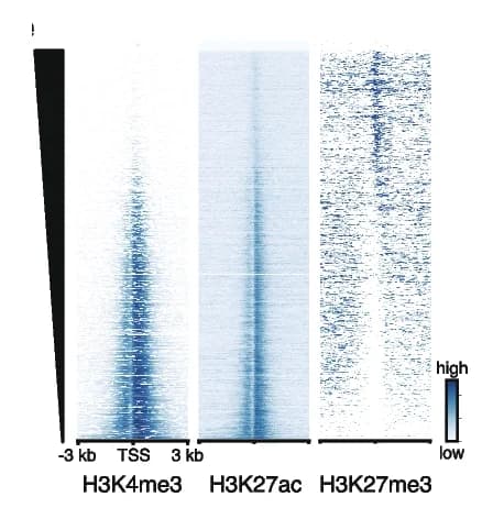 Open access visualization of Heatmap, LABS, Heatmaps, Correlations, H3K4me3