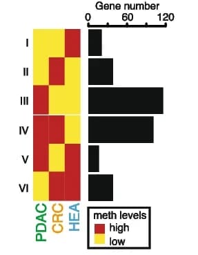 Open access visualization of Heatmap, Bar Plot, Differentially Methylated Region, Genes, Methylation Difference