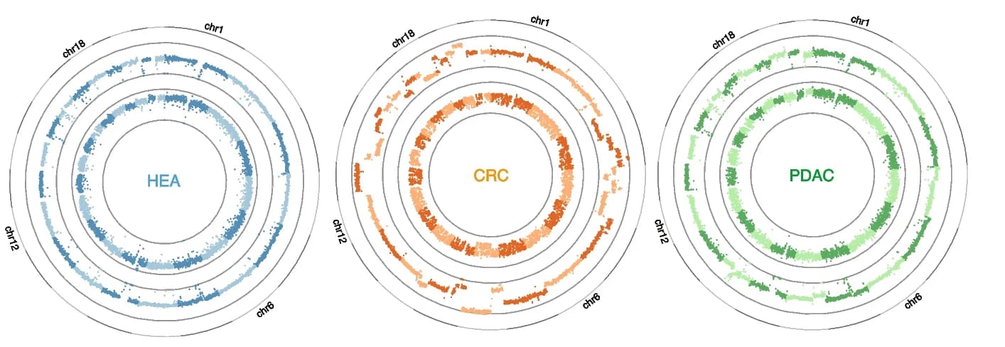 Open access visualization of Scatter Plot, Manhattan Plot, Circos Plots, Copy Number Alterations, Methylation Levels