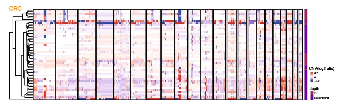 Open access visualization of Heatmap, Clustered, Normalized Copy Numbers, Colorectal Cancer, Sequencing Depth