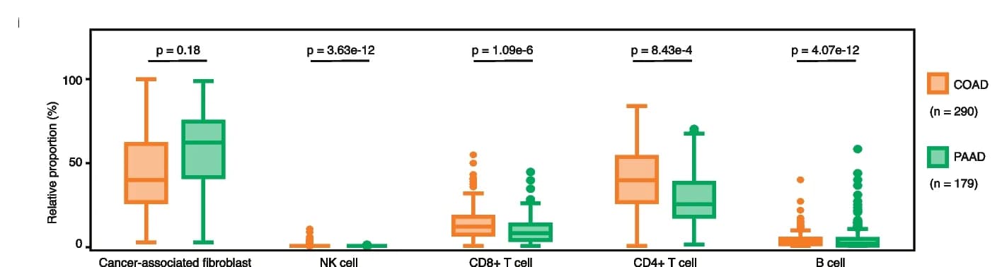 Open access visualization of Box Plot, Scatter Plot, Cell Types, COAD, PAAD